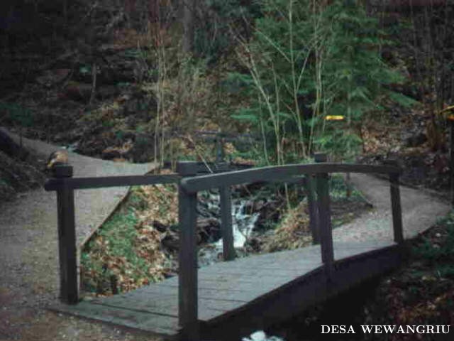 Baksos - (Ada 10 foto)